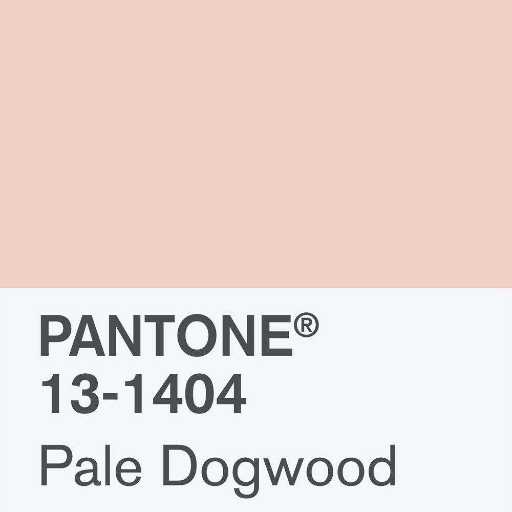 Pantone Pale Dogwood colour | Millennial pink ideas for your perfect home