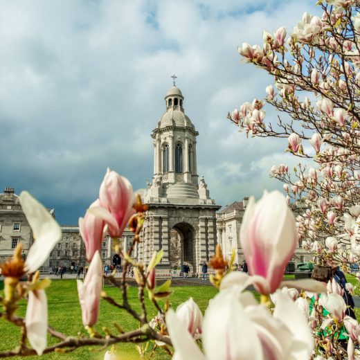 Dublin Bucket List - 26 Things to Do in Dublin, Ireland - A Local’s Picks | Aliz’s Wonderland